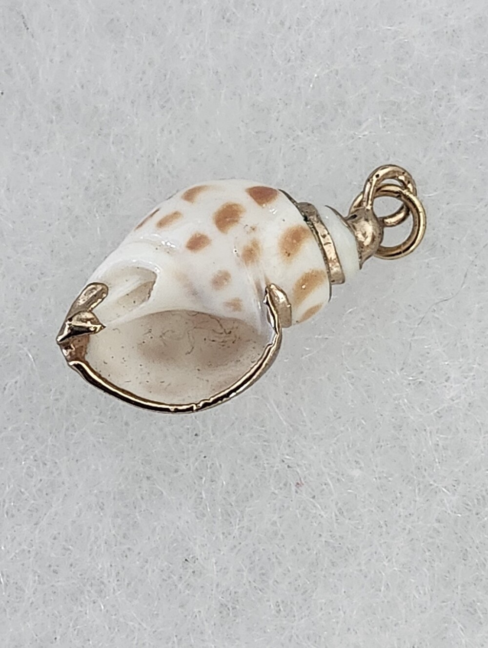 Seashell Pendant Brown & White With Gold Tone Trim & Bail - Picture 2 of 11